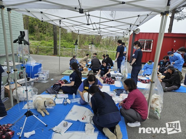 사진 국경없는수의사회