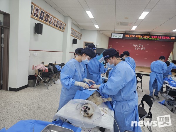 사진 국경없는수의사회