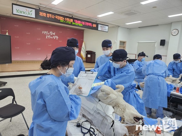 사진 국경없는수의사회