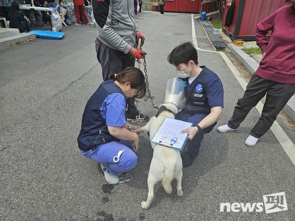 사진 국경없는수의사회