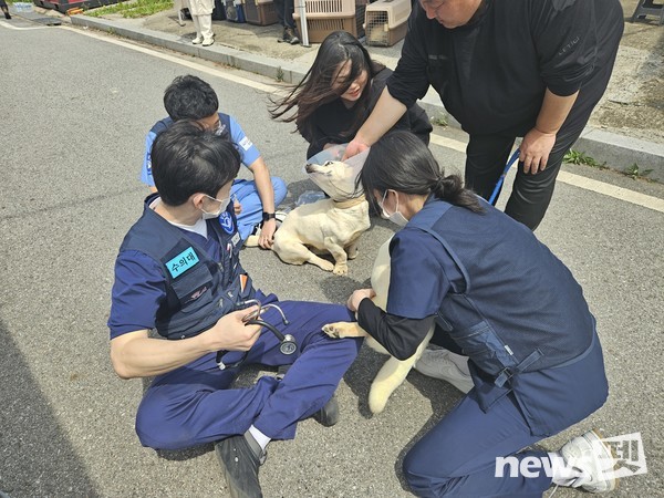 사진 국경없는수의사회