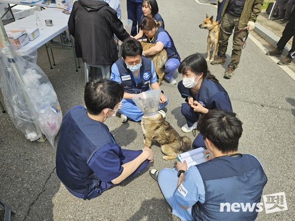 사진 국경없는수의사회