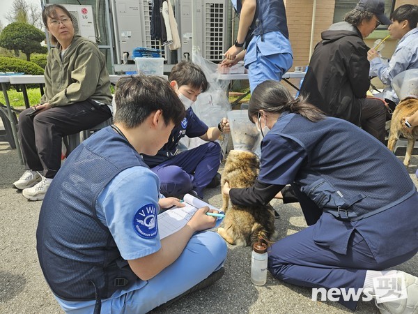 사진 국경없는수의사회