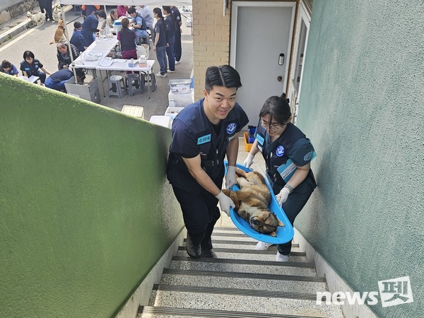 사진 국경없는수의사회