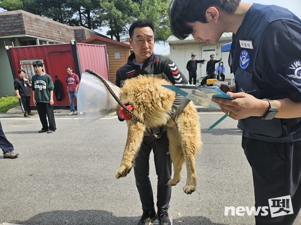 사진 국경없는수의사회