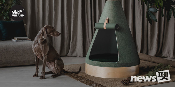 대형견 하우스 ‘B-SPACE’. 사진 베르그앤릿지