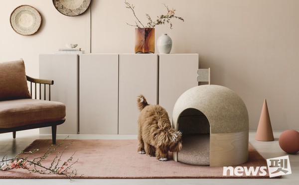 중·소형견 하우스 ‘R-SPACE’. 사진 베르그앤릿지