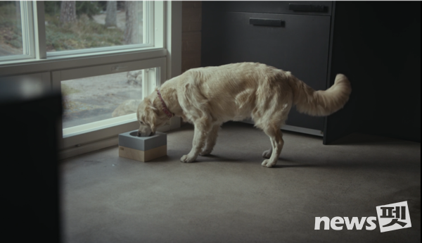 사료 보울 세트 ‘W-TABLE’. 사진 베르그앤릿지