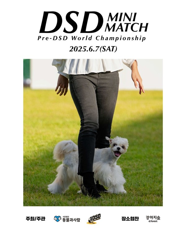 ‘DSD 미니 매치’ 포스터. 포스터 더존비즈온