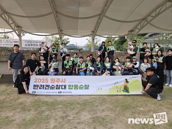 사진 유기견없는도시