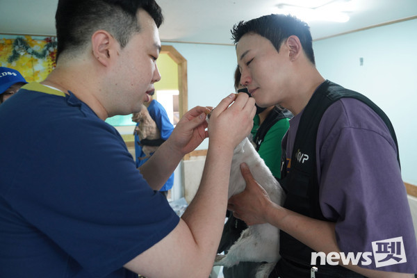 로얄메디컬센터 강동 박의현 부원장이 심장사상충예방약 ‘크레델리오 플러스’를 먹이고 있다. 사진 녹십자수의약품