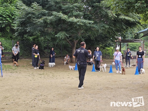 사진 KCMC문화원