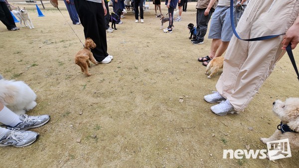 사진 KCMC문화원