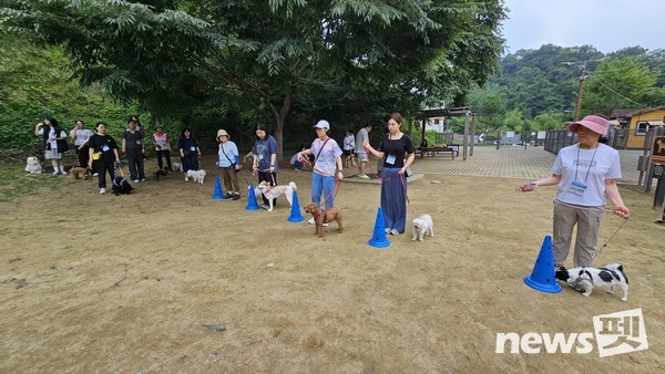 사진 KCMC문화원