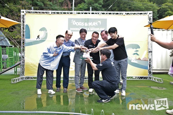 사진 독스앤플레이