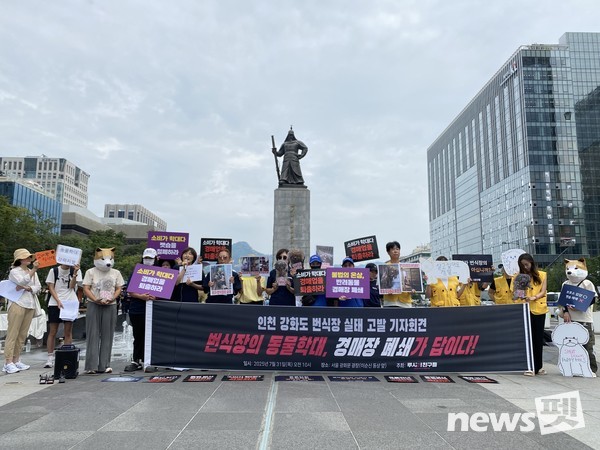 [사진=동물권행동 카라]