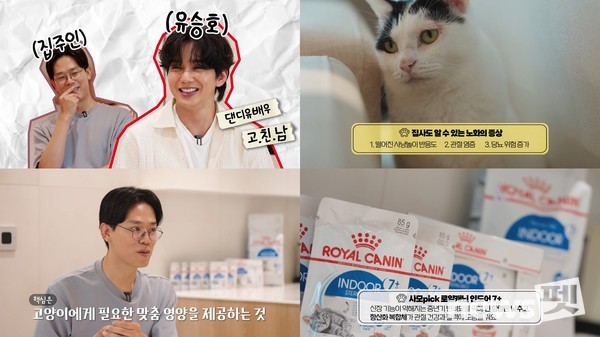 사진. 로얄캐닌코리아