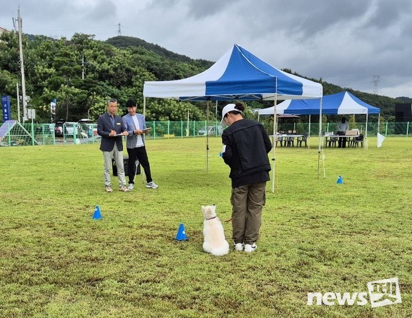 2025 반려동물행동지도사 대비 실기경기대회 진행 모습. 사진 한국애견연맹