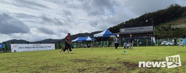 2025 반려동물행동지도사 대비 실기경기대회 진행 모습. 사진 한국애견연맹