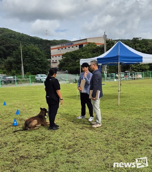 2025 반려동물행동지도사 대비 실기경기대회 진행 모습. 사진 한국애견연맹