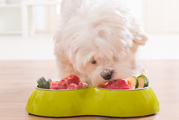 사진 shutterstock