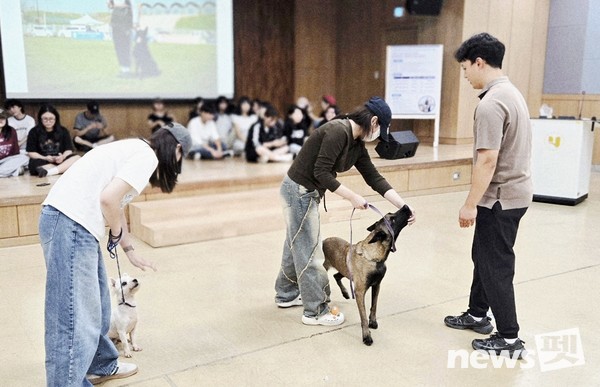 펫시터 자격증 특강 실시 수업. 사진 호남대학교
