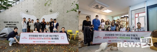 로얄캐닌코리아 임직원들이 레이앳홈(왼쪽)와 나비야사랑해(오른쪽) 고양이 보호소에서 유기묘를 위한 봉사활동을 펼쳤다. 사진 로얄캐닌코리아