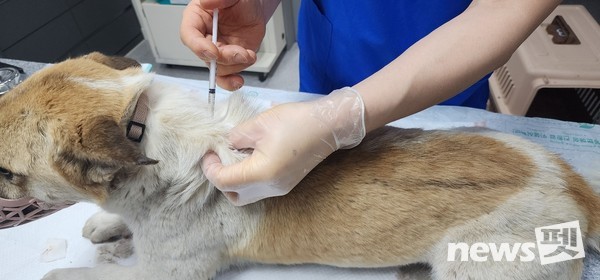 사진 광주광역시