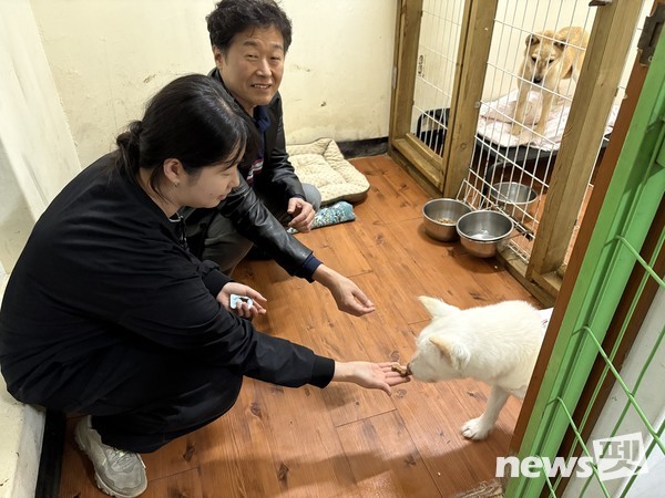 심장사상충 예방약 ‘파라오 PI’를 수의사 지도 하에 유기동물에게 투약하고 있다. 사진 녹십자수의약품