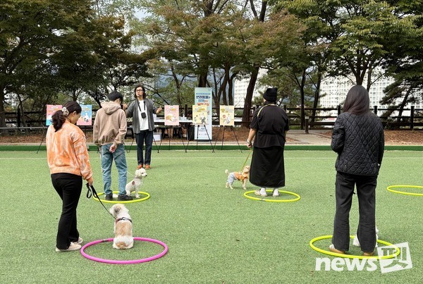 광산구 반려동물과 함께하는 문화교실. 사진 광산구