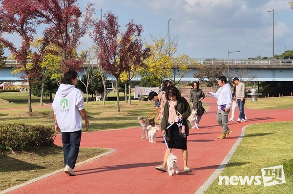 광산구 반려동물과 함께하는 문화교실. 사진 광산구