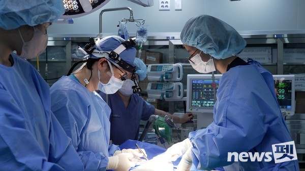 넬동물의료재단 엄태흠 대표원장이 넬동물심장팀과 함께 고난도 심장 수술(개심술)을 집도하고 있다. 사진 넬동물의료재단