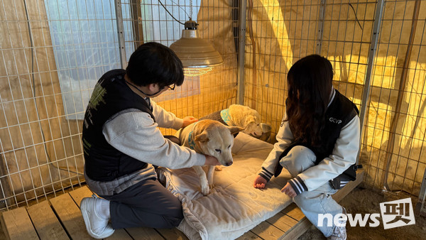 데피니트 투약을 마친 뒤 보호견의 상태를 살피며 안정을 돕고 있다. (왼쪽부터) 청주 수동물병원 전귀호 원장, 차율하 학생. 사진 녹십자수의약품