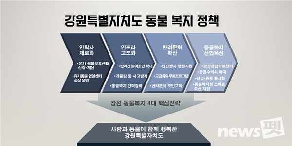 [자료=강원특별자치도]