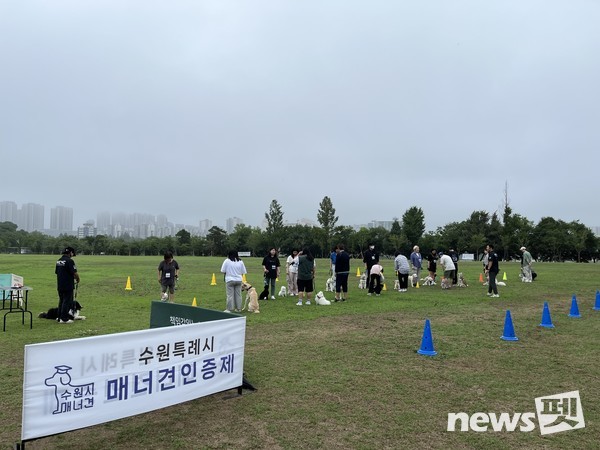 매너견 인증교육을 하는 모습. 사진 수원특례시